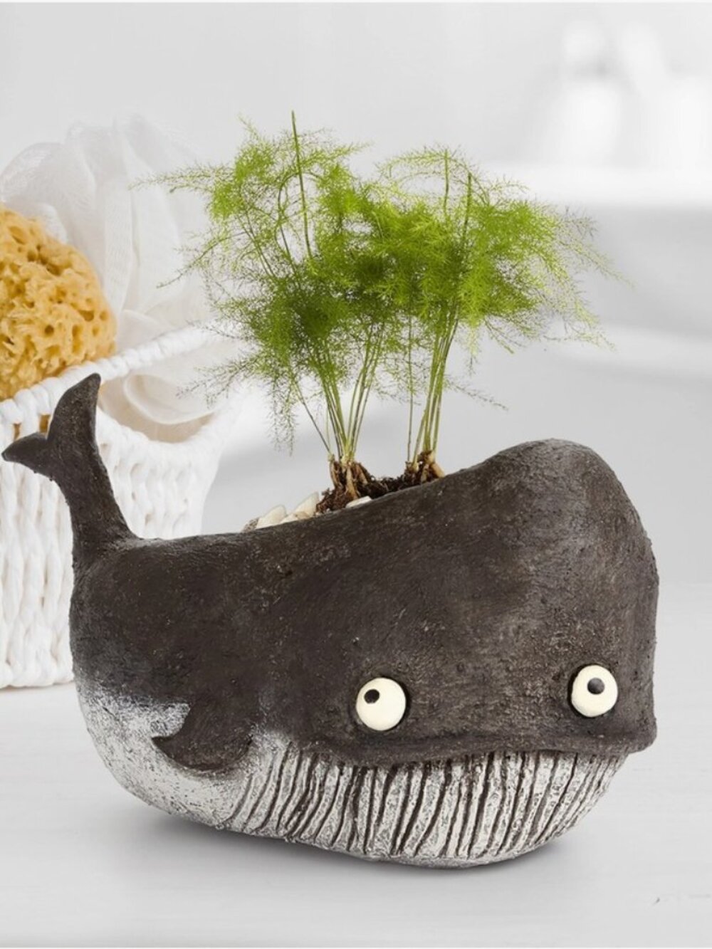Whale Planter Goliath Unique Succulent Planter Pot with Drainage